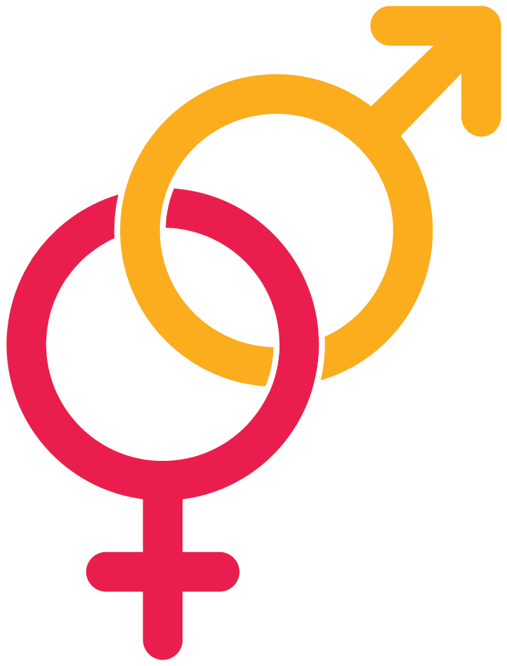 Graphic symbol of a yellow 'male' icon, or circle with an arrow extending from the top right, intersecting with a red 'female' icon, or a circle with a cross extending beneath it. 